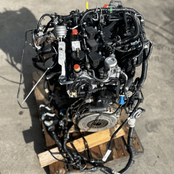FORD 1.0 ECOBOOST SFJB FOCUS III TRANSIT COURIER TOURNEO COURIER
