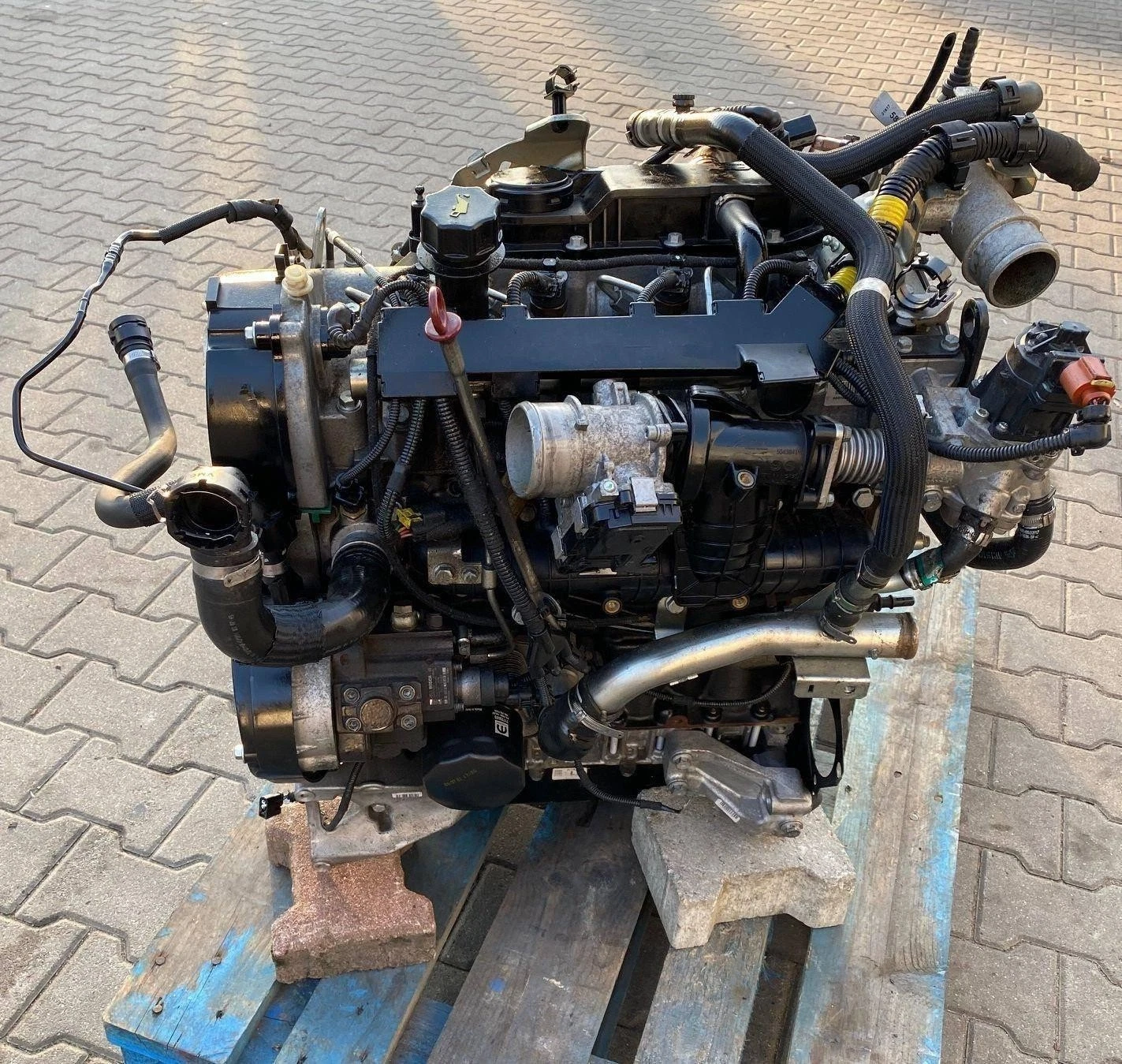 Fiat 2.3D F1AGL411D Ducato Iveco Daily